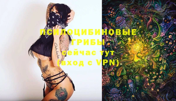 2c-b Надым