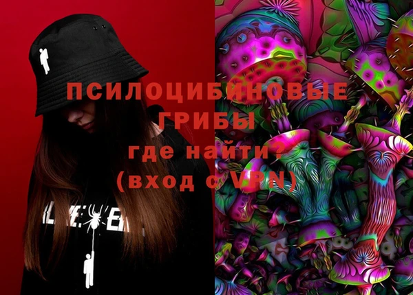 2c-b Надым