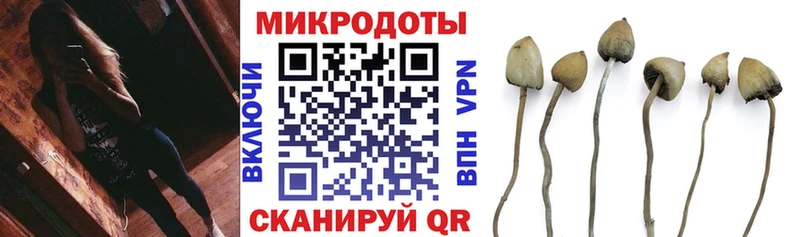 Псилоцибиновые грибы мухоморы  что такое   Микунь 